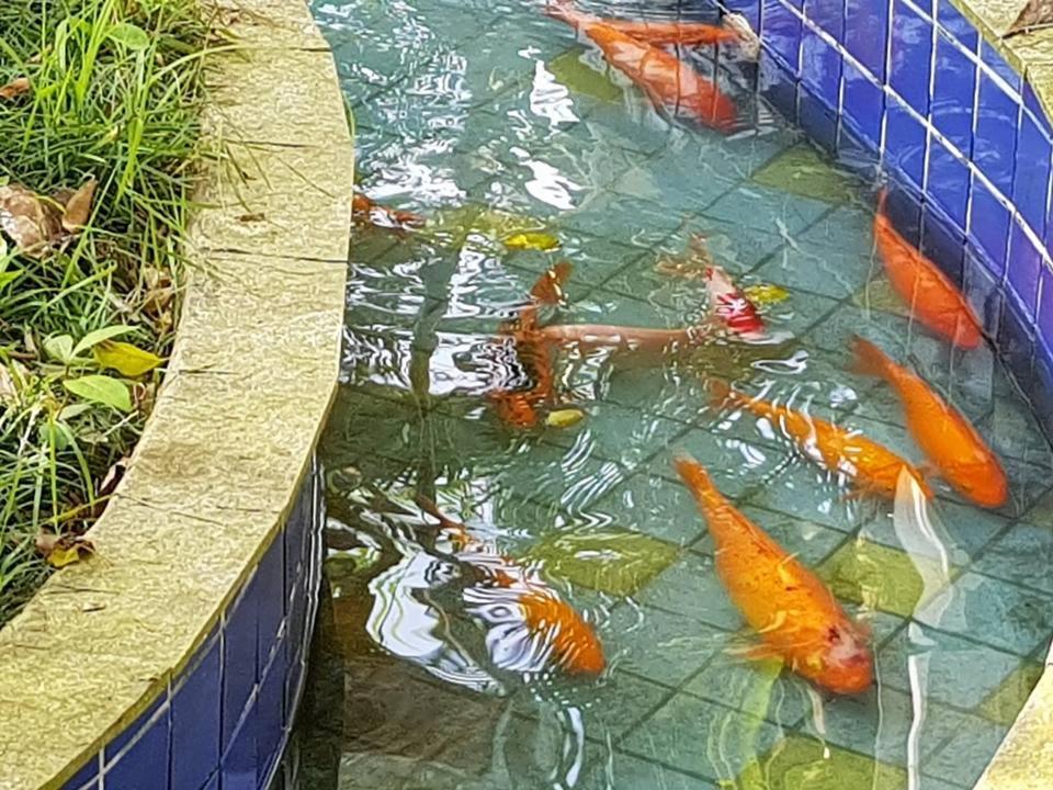 Pousada Morada Das Ilhas Boicucanga Esterno foto