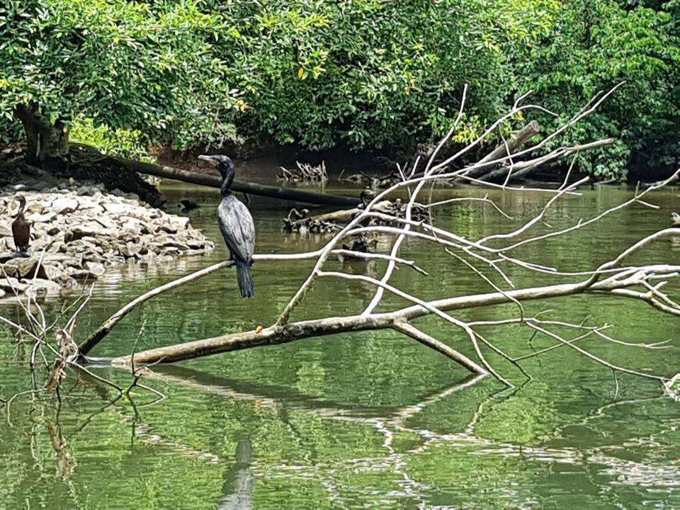 Pousada Morada Das Ilhas Boicucanga Esterno foto