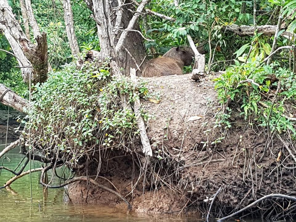 Pousada Morada Das Ilhas Boicucanga Esterno foto